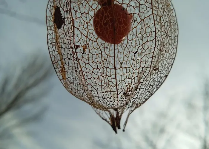 別荘 La Maison Des Vignes *